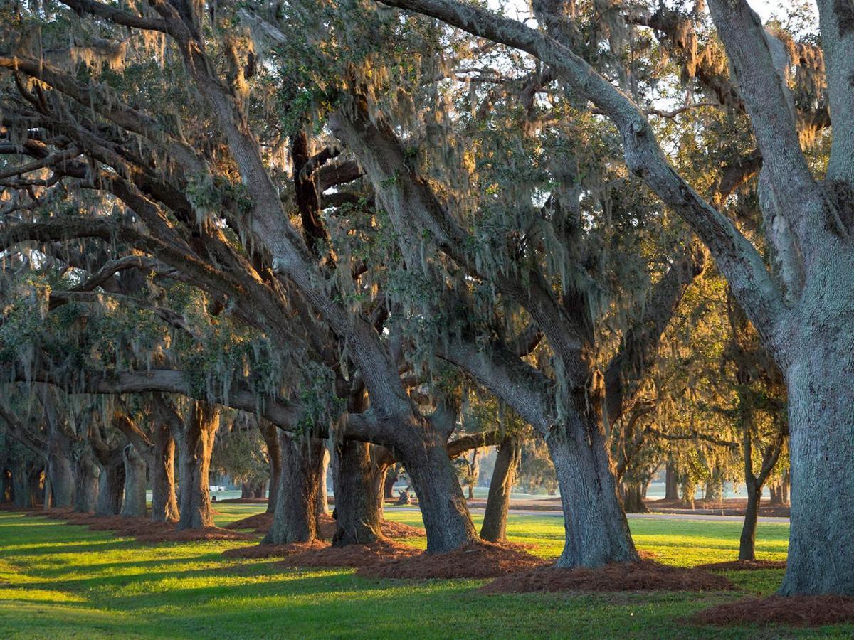 The Lodge At Sea Island St. Simons Island Екстериор снимка